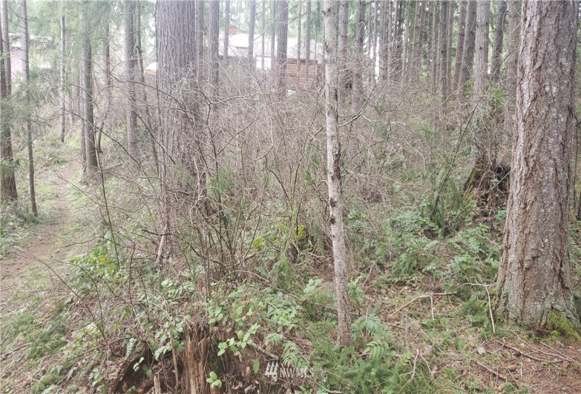 17339 East View, Yelm, Washington 98597, ,Land,For Sale,Clearwood,East View,NWM1871689