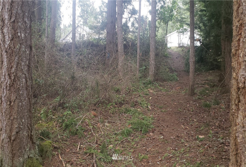 17339 East View, Yelm, Washington 98597, ,Land,For Sale,Clearwood,East View,NWM1871689