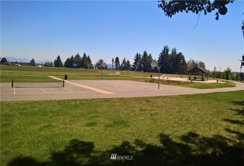 8613 Roosevelt, Seattle, Washington 98115, ,Residential Income,For Sale,Roosevelt,NWM1876298