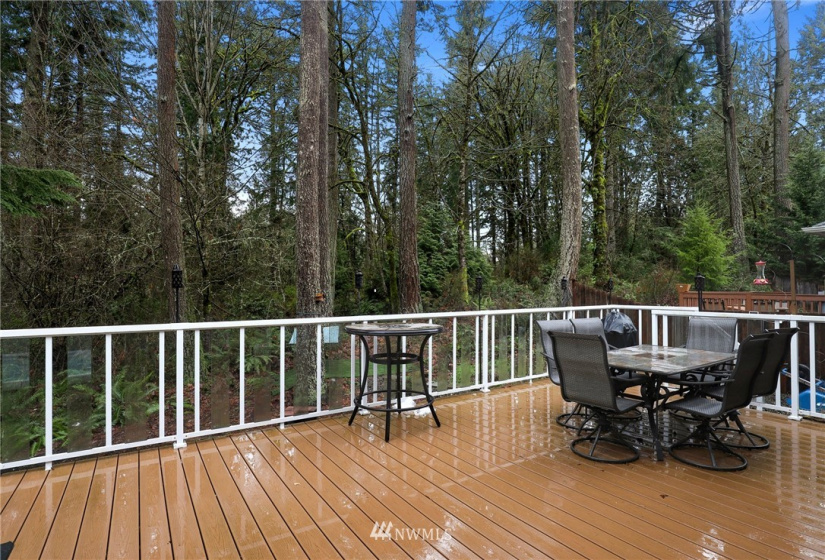 12018 61st, Gig Harbor, Washington 98332, 4 Bedrooms Bedrooms, ,2 BathroomsBathrooms,Residential,For Sale,61st,NWM1873629