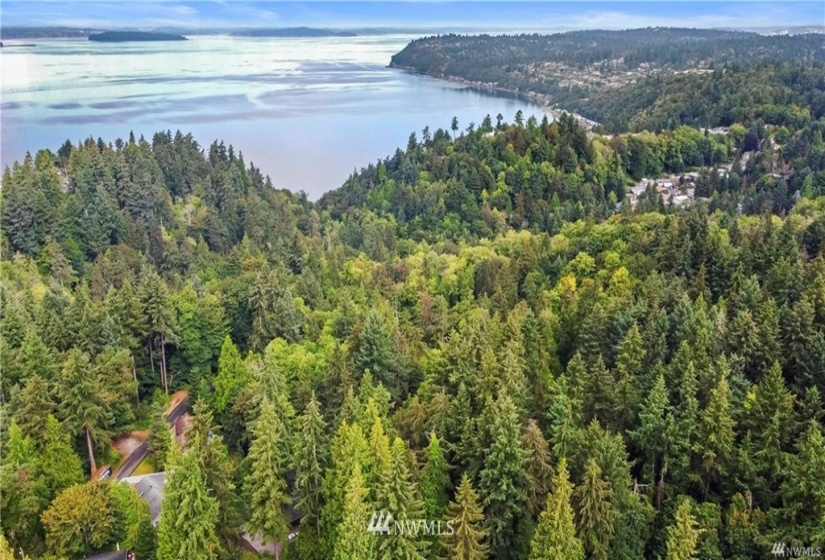 14462 18th, Burien, Washington 98166, ,Land,For Sale,18th,NWM1876529