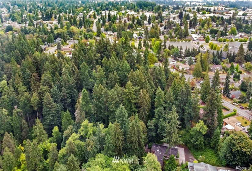 14462 18th, Burien, Washington 98166, ,Land,For Sale,18th,NWM1876529