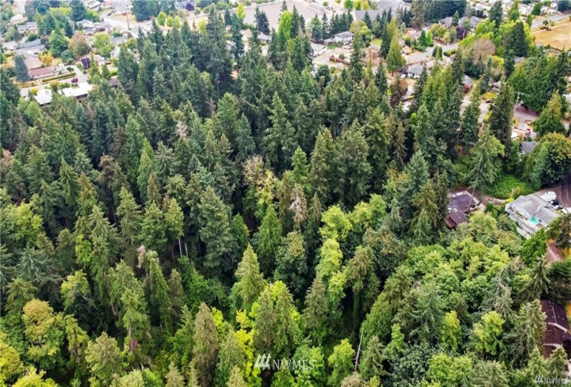 14462 18th, Burien, Washington 98166, ,Land,For Sale,18th,NWM1876529