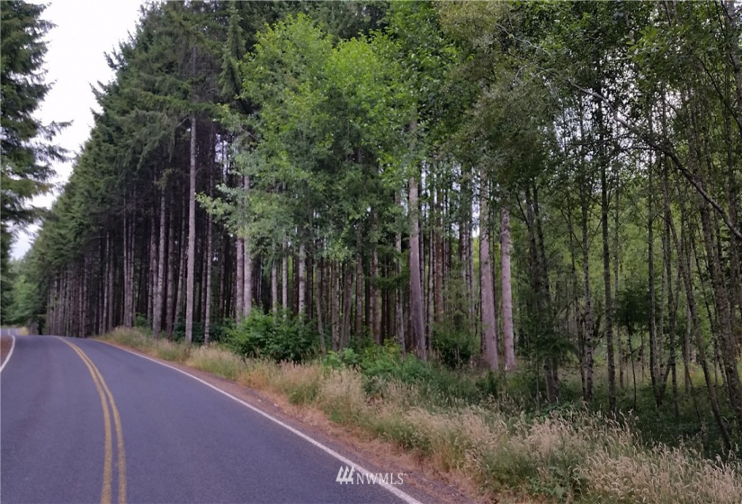 0 Sears, Winlock, Washington 98596, ,Land,For Sale,Sears,NWM1876544