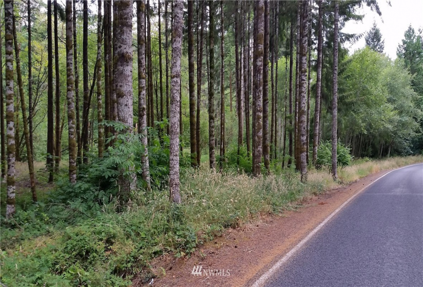 0 Sears, Winlock, Washington 98596, ,Land,For Sale,Sears,NWM1876544