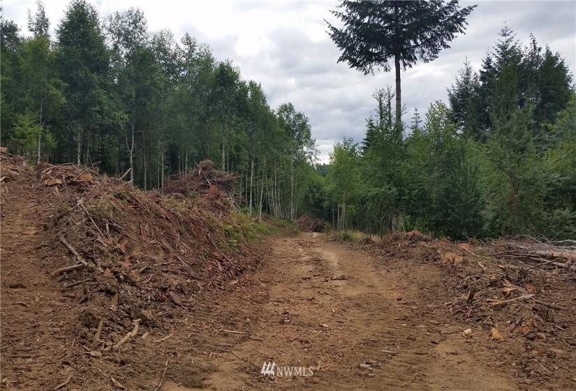0 Sears, Winlock, Washington 98596, ,Land,For Sale,Sears,NWM1876544