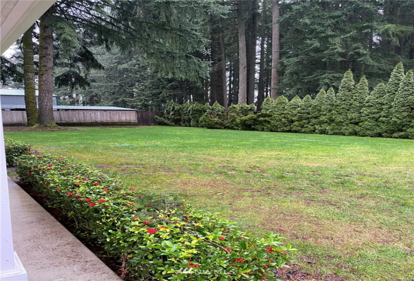 3531 93rd, Olympia, Washington 98512, 4 Bedrooms Bedrooms, ,Residential Lease,For Rent,93rd,NWM1876512