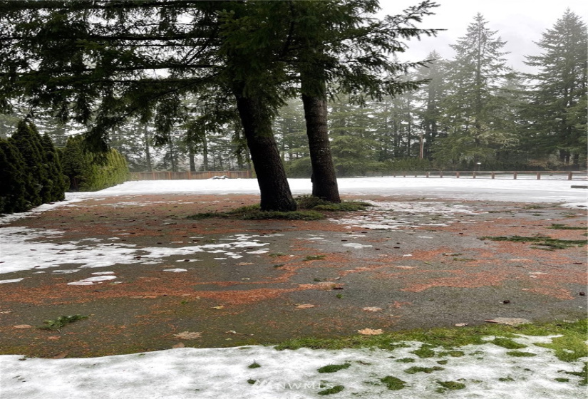 3531 93rd, Olympia, Washington 98512, 4 Bedrooms Bedrooms, ,Residential Lease,For Rent,93rd,NWM1876512