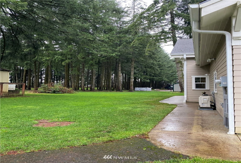 3531 93rd, Olympia, Washington 98512, 4 Bedrooms Bedrooms, ,Residential Lease,For Rent,93rd,NWM1876512