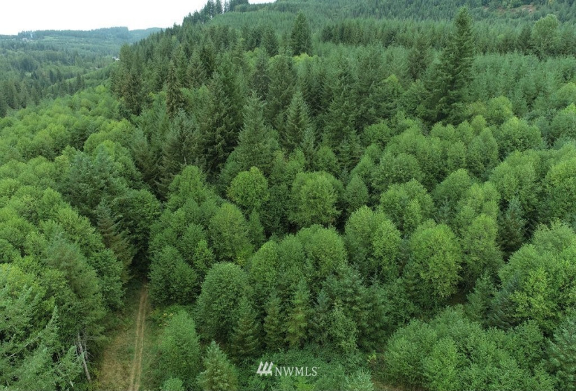 0 Thompson, Yacolt, Washington 98675, ,Land,For Sale,Thompson,NWM1876703