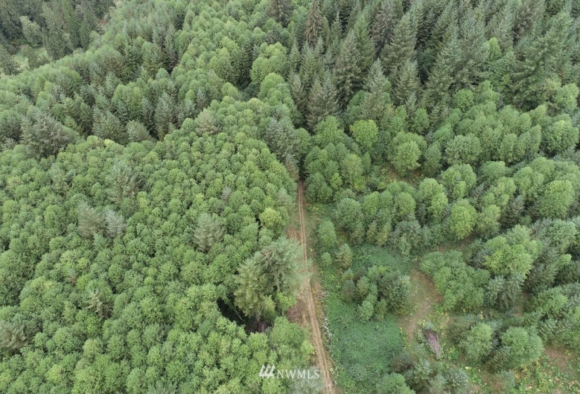 0 Thompson, Yacolt, Washington 98675, ,Land,For Sale,Thompson,NWM1876703