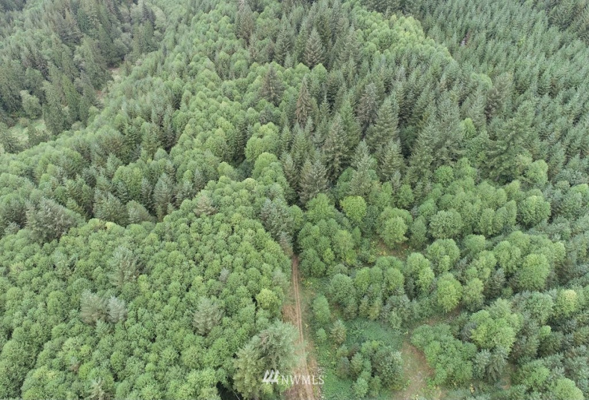 0 Thompson, Yacolt, Washington 98675, ,Land,For Sale,Thompson,NWM1876703