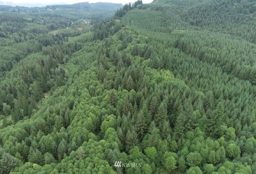 0 Thompson, Yacolt, Washington 98675, ,Land,For Sale,Thompson,NWM1876703