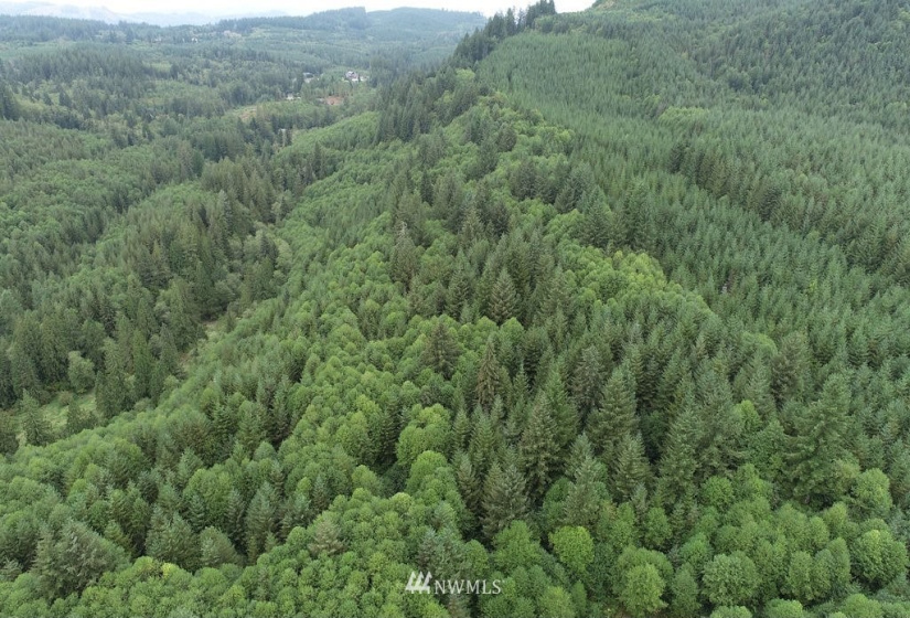 0 Thompson, Yacolt, Washington 98675, ,Land,For Sale,Thompson,NWM1876703