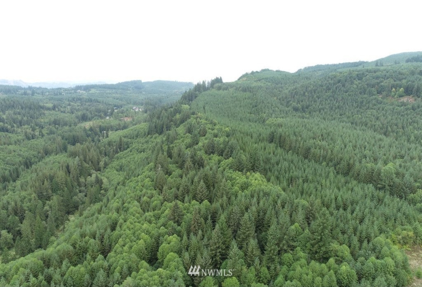 0 Thompson, Yacolt, Washington 98675, ,Land,For Sale,Thompson,NWM1876703