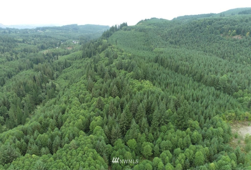 0 Thompson, Yacolt, Washington 98675, ,Land,For Sale,Thompson,NWM1876703