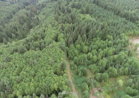 0 Thompson, Yacolt, Washington 98675, ,Land,For Sale,Thompson,NWM1876703