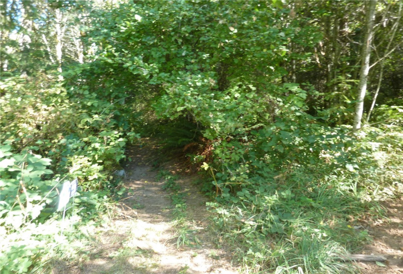 0 Thompson, Yacolt, Washington 98675, ,Land,For Sale,Thompson,NWM1876703