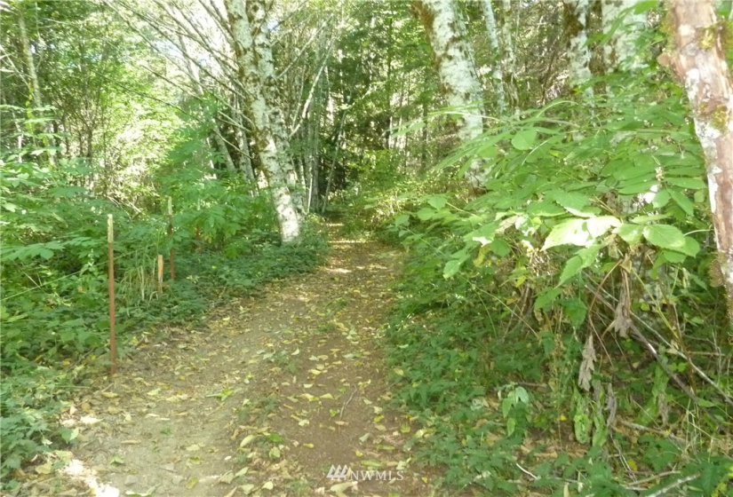 0 Thompson, Yacolt, Washington 98675, ,Land,For Sale,Thompson,NWM1876703