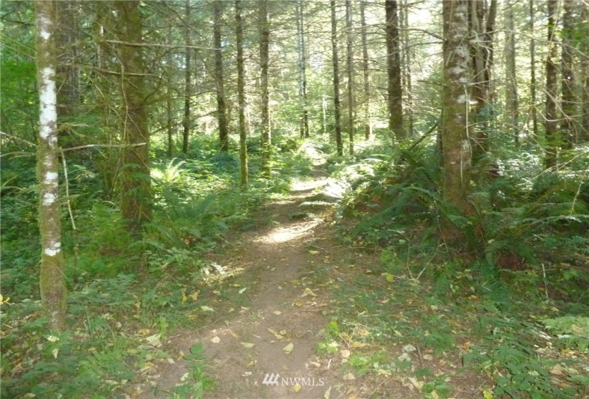 0 Thompson, Yacolt, Washington 98675, ,Land,For Sale,Thompson,NWM1876703