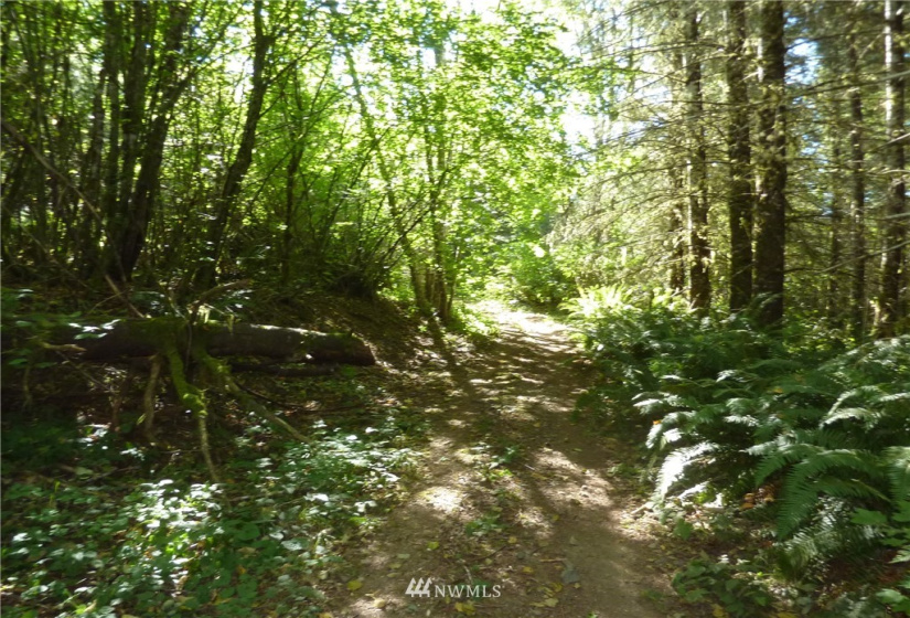 0 Thompson, Yacolt, Washington 98675, ,Land,For Sale,Thompson,NWM1876703
