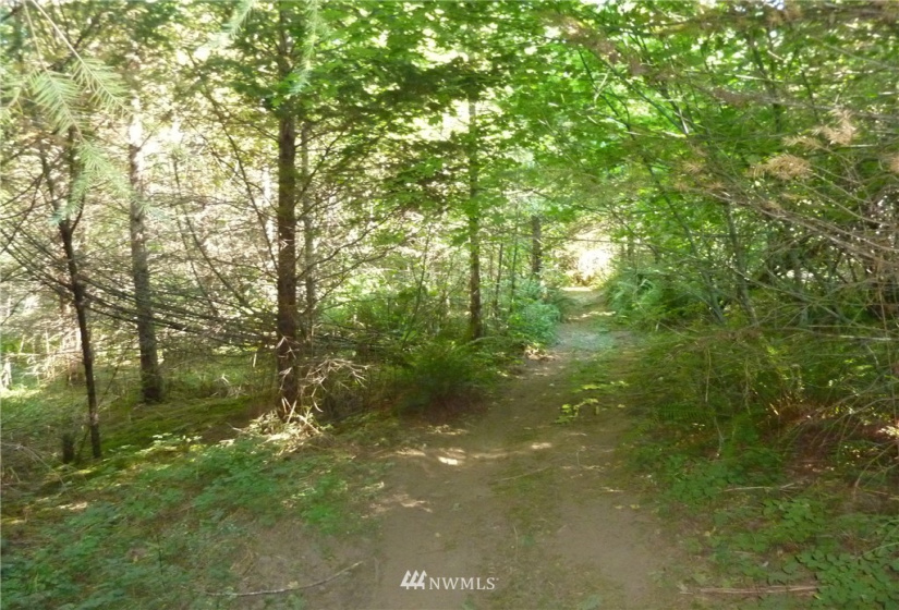 0 Thompson, Yacolt, Washington 98675, ,Land,For Sale,Thompson,NWM1876703