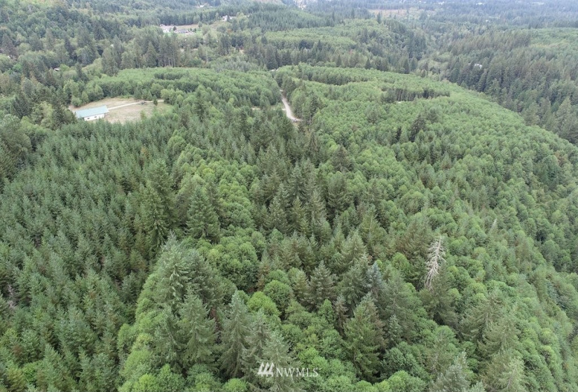 0 Thompson, Yacolt, Washington 98675, ,Land,For Sale,Thompson,NWM1876703