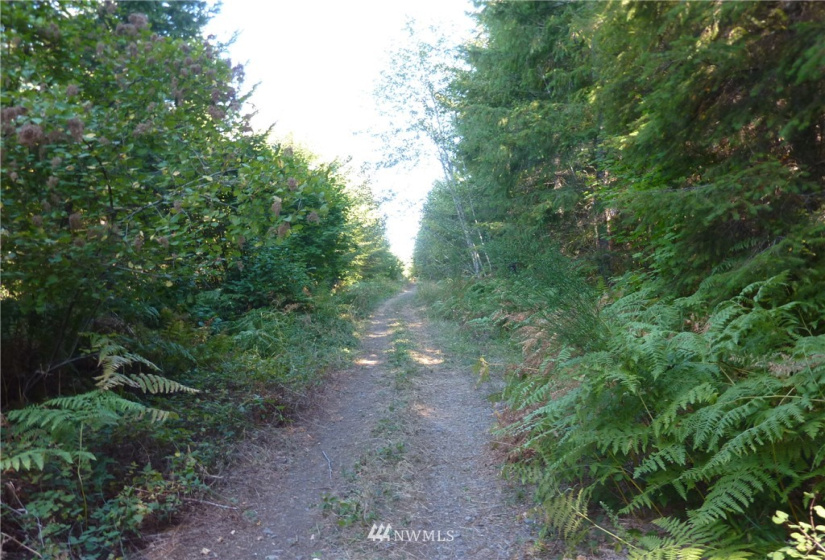 0 Thompson, Yacolt, Washington 98675, ,Land,For Sale,Thompson,NWM1876703