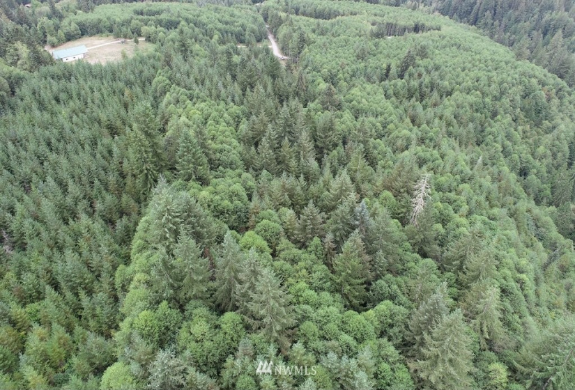 0 Thompson, Yacolt, Washington 98675, ,Land,For Sale,Thompson,NWM1876703