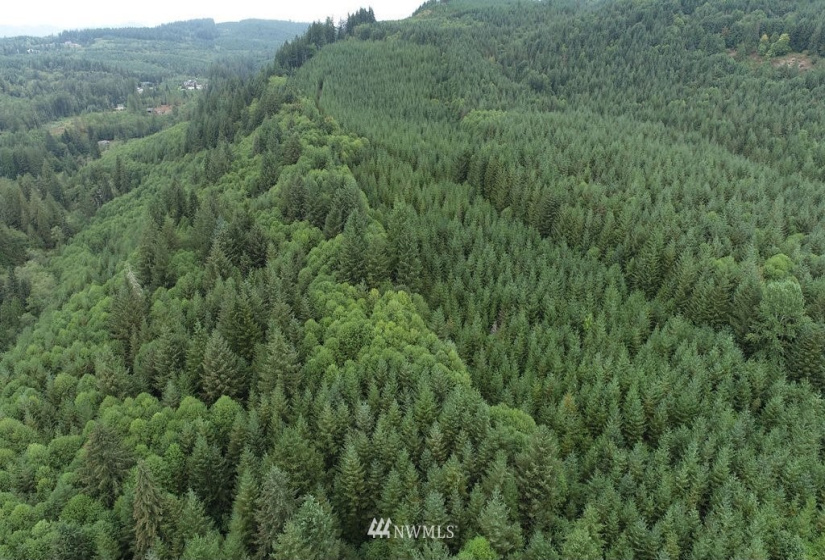 0 Thompson, Yacolt, Washington 98675, ,Land,For Sale,Thompson,NWM1876703
