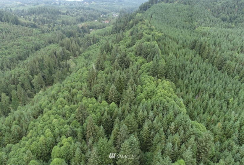 0 Thompson, Yacolt, Washington 98675, ,Land,For Sale,Thompson,NWM1876703