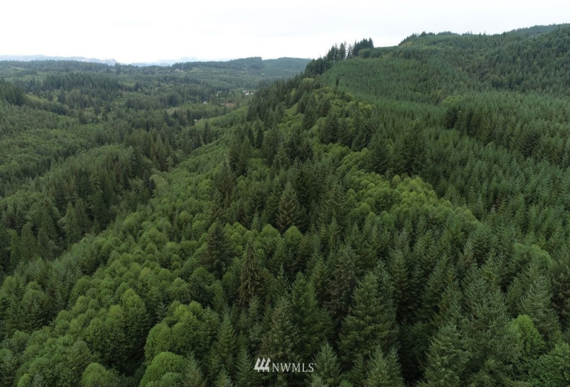0 Thompson, Yacolt, Washington 98675, ,Land,For Sale,Thompson,NWM1876703