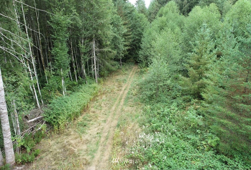 0 Thompson, Yacolt, Washington 98675, ,Land,For Sale,Thompson,NWM1876703