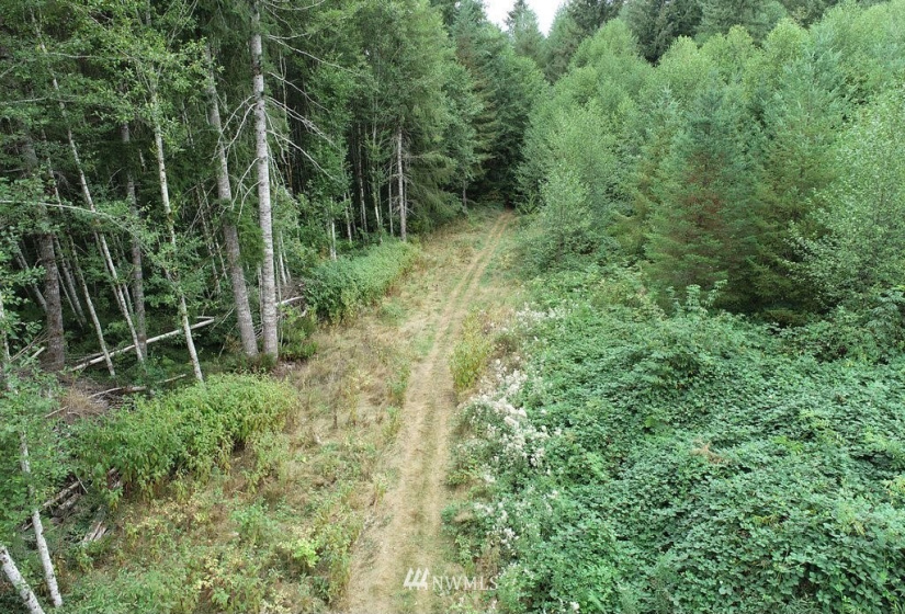 0 Thompson, Yacolt, Washington 98675, ,Land,For Sale,Thompson,NWM1876703