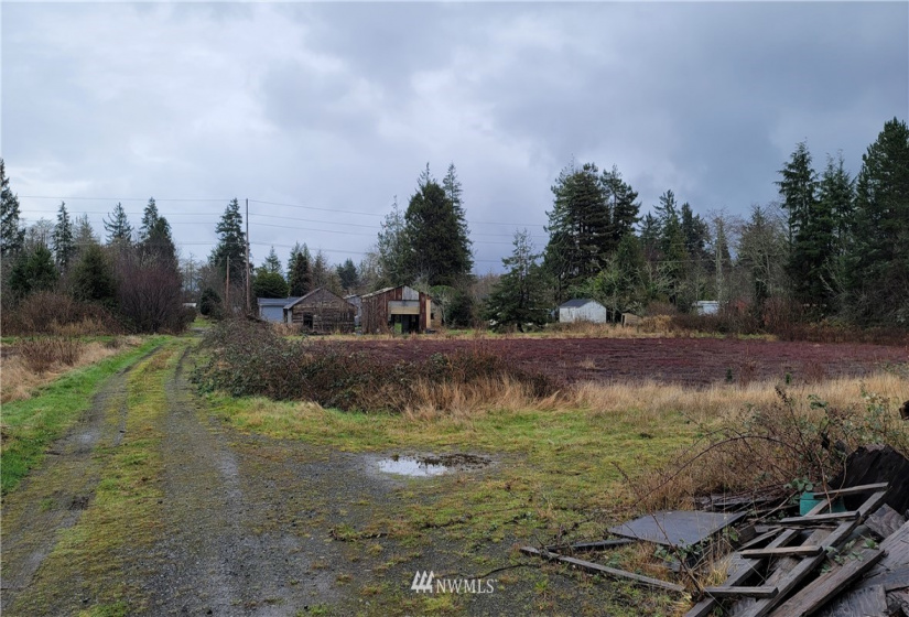 10915 Sandridge, Long Beach, Washington 98631, 3 Bedrooms Bedrooms, ,1 BathroomBathrooms,Residential,For Sale,Sandridge,NWM1876720