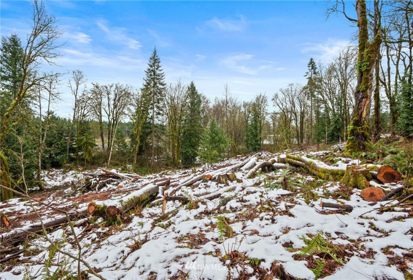 241 Pascoe, Chehalis, Washington 98570, ,Land,For Sale,Pascoe,NWM1875997