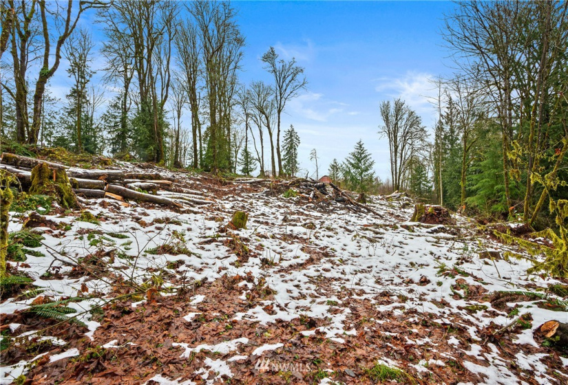 241 Pascoe, Chehalis, Washington 98570, ,Land,For Sale,Pascoe,NWM1875997