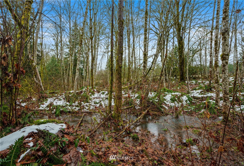 241 Pascoe, Chehalis, Washington 98570, ,Land,For Sale,Pascoe,NWM1875997