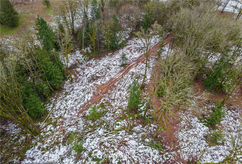 241 Pascoe, Chehalis, Washington 98570, ,Land,For Sale,Pascoe,NWM1875997
