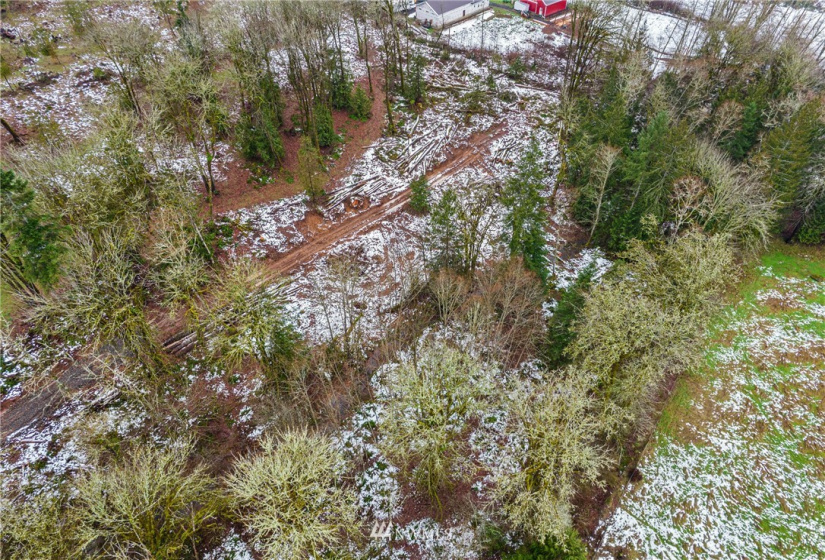 241 Pascoe, Chehalis, Washington 98570, ,Land,For Sale,Pascoe,NWM1875997