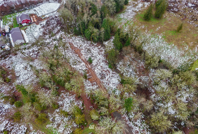 241 Pascoe, Chehalis, Washington 98570, ,Land,For Sale,Pascoe,NWM1875997