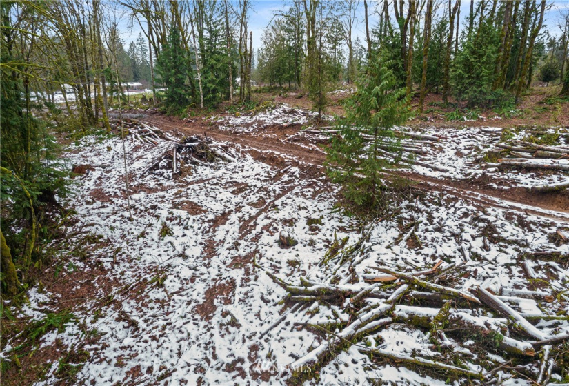 241 Pascoe, Chehalis, Washington 98570, ,Land,For Sale,Pascoe,NWM1875997