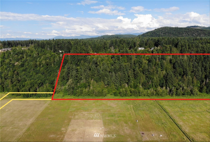 18646 208th, Orting, Washington 98360, ,Land,For Sale,208th,NWM1874905