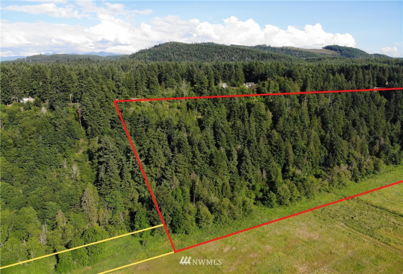 18646 208th, Orting, Washington 98360, ,Land,For Sale,208th,NWM1874905