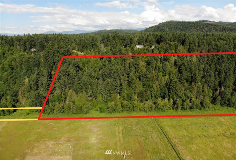 18646 208th, Orting, Washington 98360, ,Land,For Sale,208th,NWM1874905