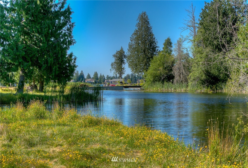 21005 Snag Island, Lake Tapps, Washington 98391, ,Land,For Sale,Ll Snag Island Tr 33,Snag Island,NWM1876960