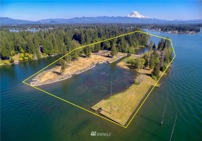 21005 Snag Island, Lake Tapps, Washington 98391, ,Land,For Sale,Ll Snag Island Tr 33,Snag Island,NWM1876960