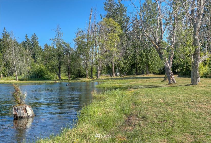 21005 Snag Island, Lake Tapps, Washington 98391, ,Land,For Sale,Ll Snag Island Tr 33,Snag Island,NWM1876960
