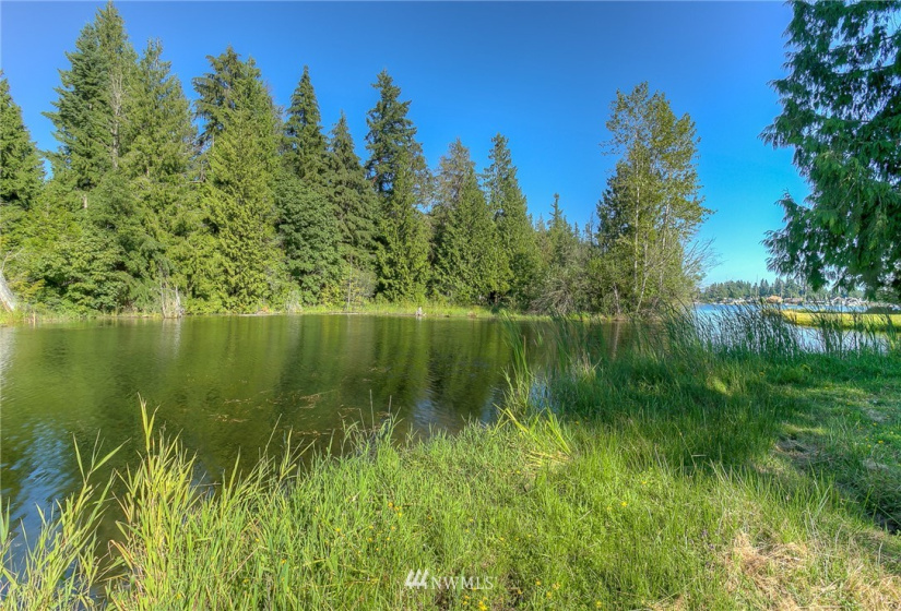 21005 Snag Island, Lake Tapps, Washington 98391, ,Land,For Sale,Ll Snag Island Tr 33,Snag Island,NWM1876960