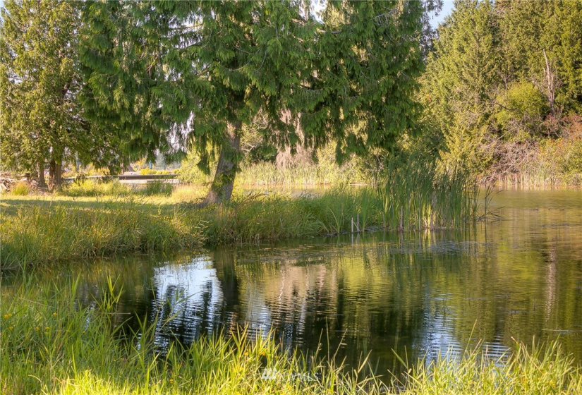 21005 Snag Island, Lake Tapps, Washington 98391, ,Land,For Sale,Ll Snag Island Tr 33,Snag Island,NWM1876960